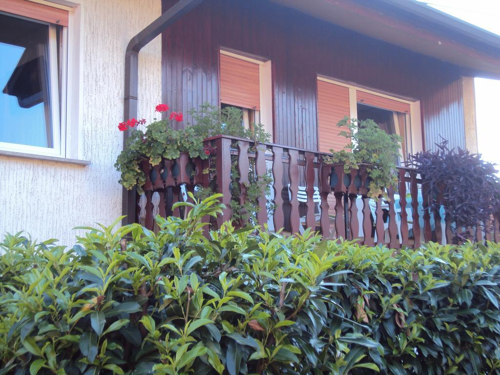 Apartment Maruska Толмин Екстер'єр фото